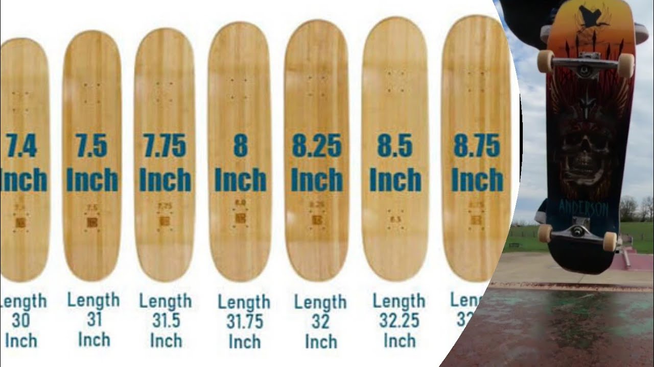 skateboard sizes