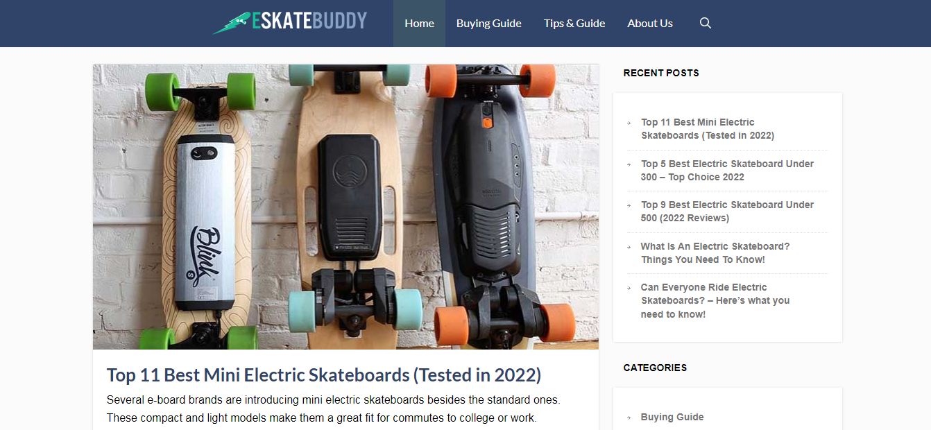 eSkateBuddy 1